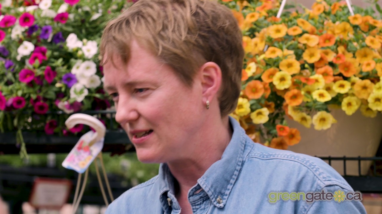 greengate Garden Centres YouTube