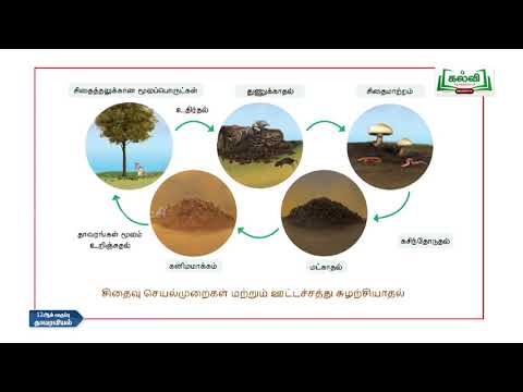 Class 12 | Thadaiyum vidaiyum |Botany |Ecosystem | Part 1 |KalviTv