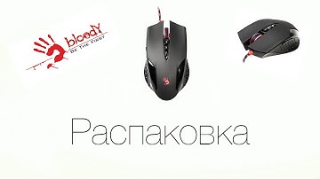 Распаковка мыши A4Tech Bloody V5