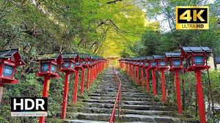 【4K HDR】Walk in Kyoto Kifune Shrine (京都散歩) - Summer