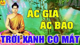 Nhân Quả Báo Ứng Hiện Đời, ÁC GIẢ ÁC BÁO Trời Xanh có Mắt, Vợ Chồng Độc Ác Nhận Quả Báo Đắng