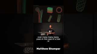 Tree Structures: Nature's Genius Design Revealed #shorts
