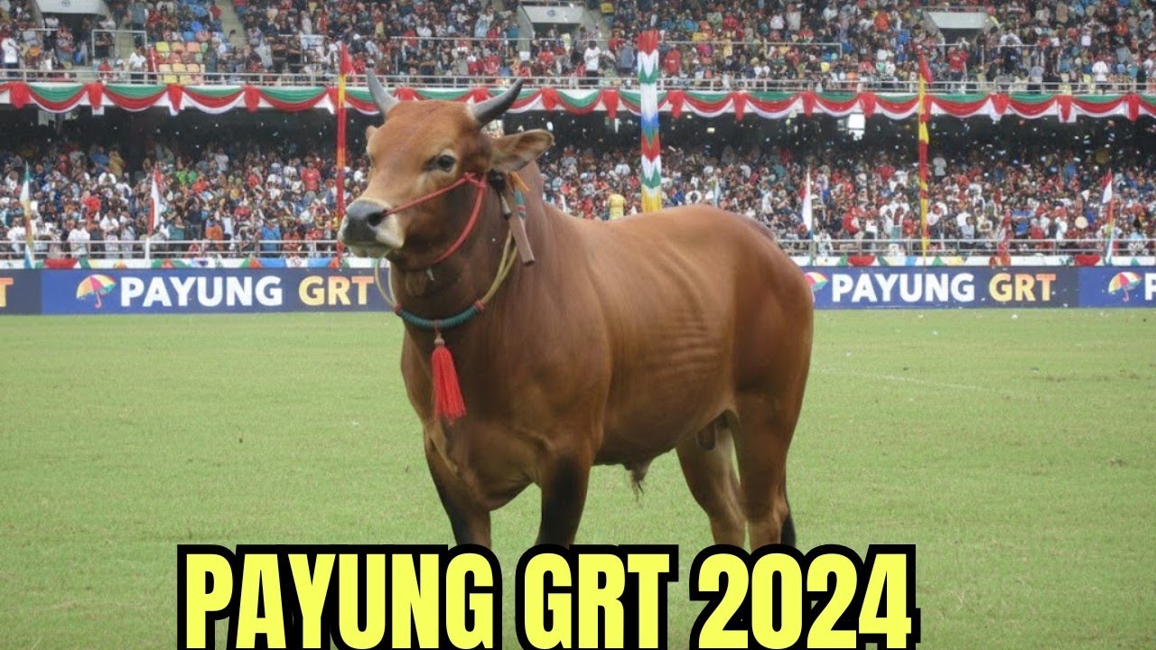 PAYUNG GRT 2024 ANAK BAIK NYA GAGAK RIMANG