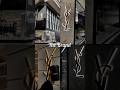 The "YSL"✨ Saint Laurent☄️ #@Savage.Me_1o #Global_glimmer»★