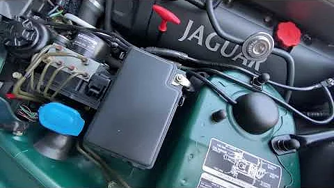 2003 Jaguar XKR Convertible Cold Start @mohrimports