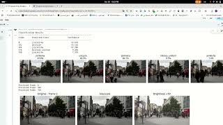 Information Explanation of Programming Assignment 1: Video Processing Using Python Guide