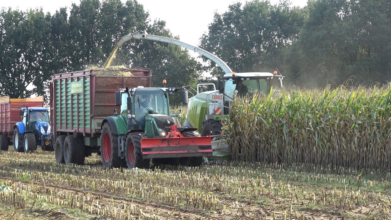 De Weer aan het mais hakselen in Diffelen met Claas Jaguar 940 en New Holland/Fendt trekkers (2020)
