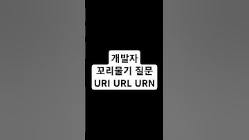 개발자 기술 면접을 위한 꼬리물기 질문 - URI URL URN #개발자 #기술면접 #coding #programming