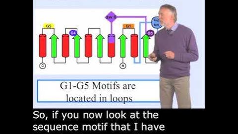 Lecture 14 延伸影片: Alfred Wittinghofer