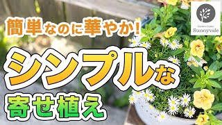 【シンプルな寄せ植え】簡単で、とっても華やか！　＃37