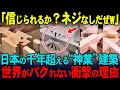 【海外の反応】「外国の家は20年でゴミ」が世界中の職人を驚かせた、日本の伝統建築“木組み”が超凄いワケ