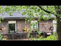 Pixel 8 Pro Video 4K 30FPS + HDR + Zoom Sample
