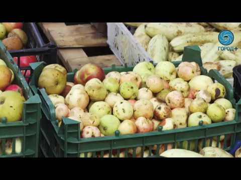 Активные выходные – джиппинг и благотворительность