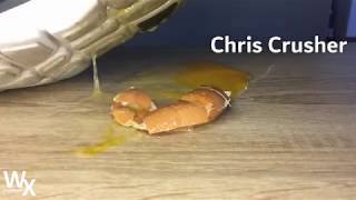 Crushing Egg - Crush