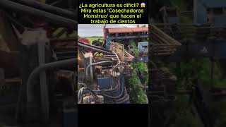 ¿La agricultura es difícil? 😱 Mira estas 'Cosechadoras Monstruo' que hacen el trabajo de cientos