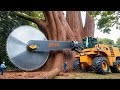 Inside Extreme Tree Cutting With Excavator Attachments (Full Process)