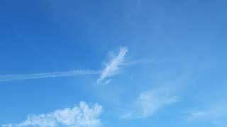 Sylph vs. Chemtrail