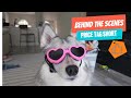 Behind the Scenes Look at Making our "Price Tag" Short