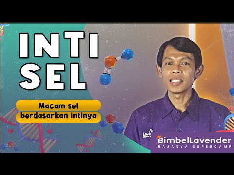 Video: Bisakah sel hidup tanpa nukleus?