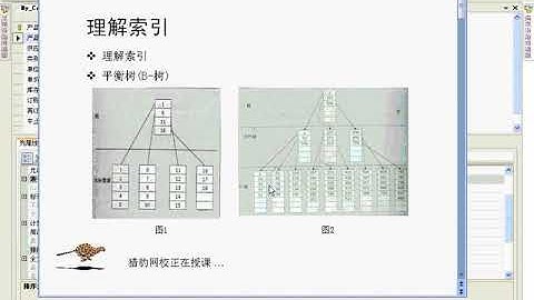 27 SQL Server 2008 视频教程  理解索引