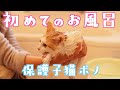 保護した子猫を初めてお風呂に入れたら驚きの可愛さでした…w