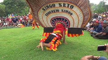 bumi reog ponorogo versi 14 dadak lapangan desa grogol sawoo ponorogo