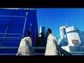 Mirror's Edge Trailer