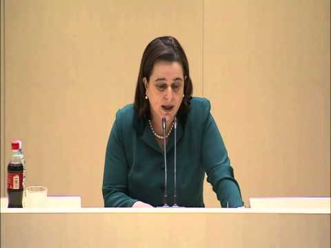 მანანა კობახიძის გამოსვლა პარლამენტში 01.05.2015