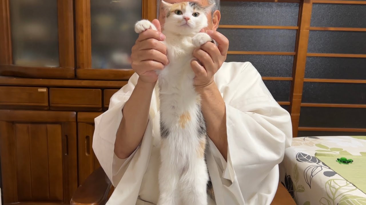Stretchy] Maneki-neko Mitsu!? - YouTube