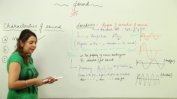 CBSE CLASS 8 SCIENCE - CHAPTER 13 - Sound - 4 characterstics of sound