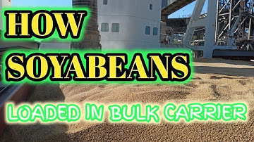 HOW SOYA BEANS LOADED IN BULK