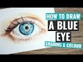 Top Tips For Drawing Blue Eyes | Luminance Colour Pencil Tutorial