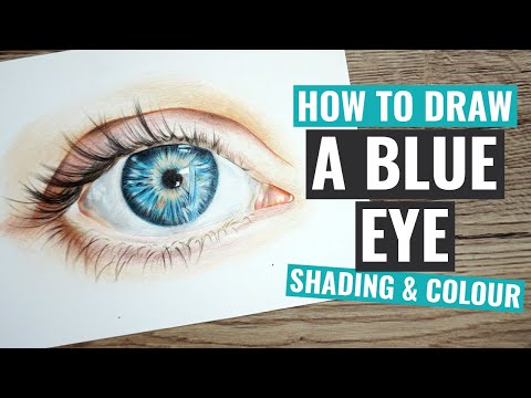 Top Tips For