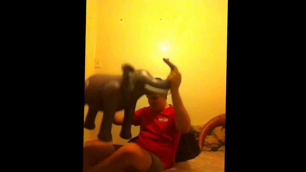 camera iphone 8 plus apk Inflatable Elephant inflate and ride