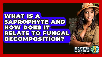 What Is A Saprophyte And How Does It Relate To Fungal Decomposition? - Ecosystem Essentials