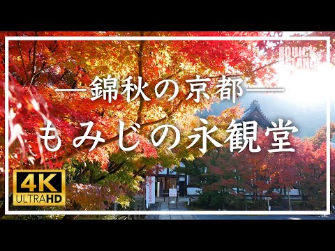【京都 秋の旅】永観堂 禅林寺 〜京都随一の秋の観光名所、3000本の紅葉が境内を彩ります。