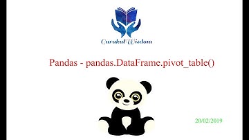 26 - Pandas - pandas.DataFrame.pivot_table() Explained Clearly!