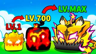 Blox Fruits Nhưng Trái Ác Quỷ Của Tôi TIẾN HOÁ | Roblox
