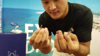 DJI Phantom 4 ESC and Cable Repair
