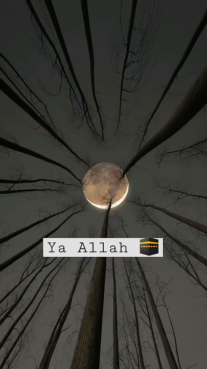 Bismillah Ya Allah Ya Rahman Ya Raheem Ya Kareem #allah #kaaba #madina #quran #mohammad #ali