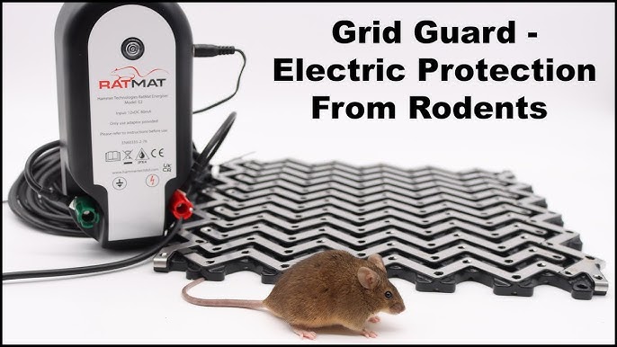 How To Make a High Voltage Mouse Trap ​/​ Electric Shock For Rats & All