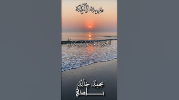 فَقَدۡ جَآءَكُم بَشِيرٞ وَنَذِيرٞۗ | القارئ محمد خالد نادي #islamicvideo #quran #islamicstatus