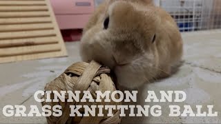 Cinnamon and a grass knitting ball