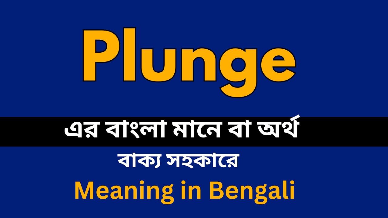 Plunge Meaning in Bengali / Plunge শব্দের বাংলা ভাষায় অর্থ অথবা মানে কি 