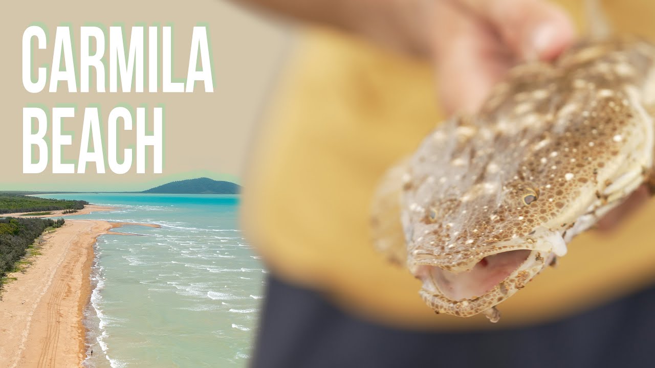 Northbound - Episode 4 - Epic Beachfront Camping