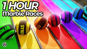 1 HOUR Marble Races Compilation  | #marblerace #marblerun #blender #marbles #animation