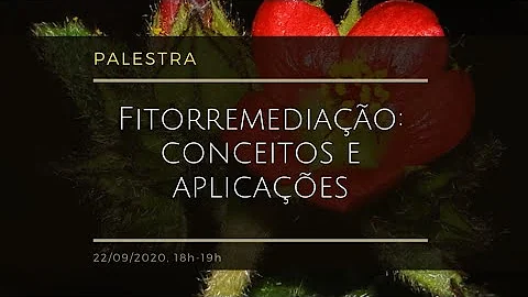 O que é Fitoestabilização?