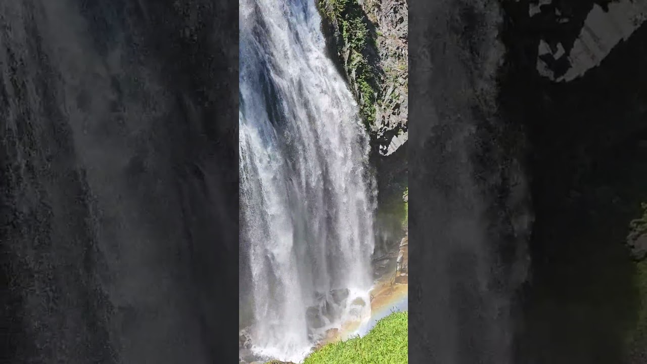 The Concentration Cascade | Heavy Nature White Noise