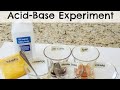 How to identify Acid and Base using litmus paper