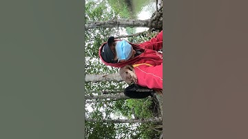 Vô rừng bị rái cá thành tinh trèo lên vai không biết